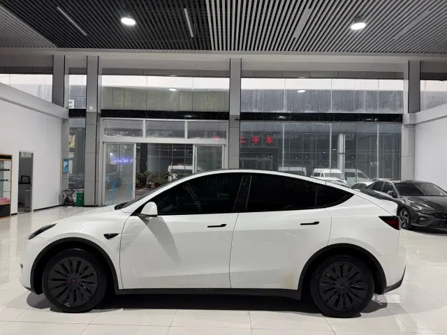 Tesla Model Y — Фото автомобиля 3