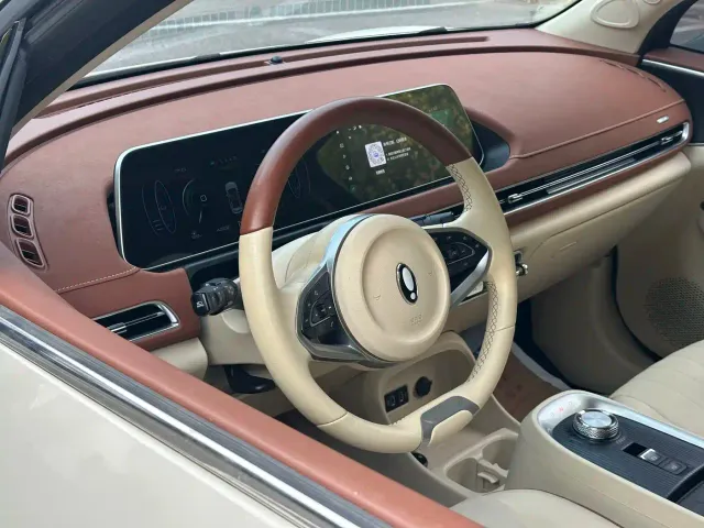 Ora Good Cat — Фото автомобиля 9