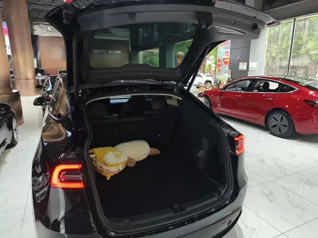 Tesla Model Y — Фото автомобиля 18