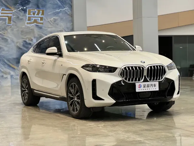 BMW X6 — Фото автомобиля 3
