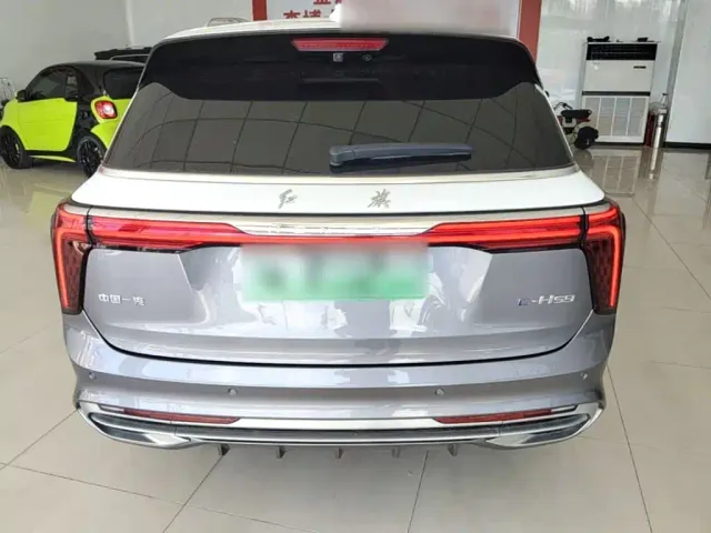 Hongqi E-HS9 — Фото автомобиля 5