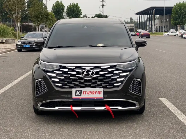 Hyundai Custo — Фото автомобиля 2