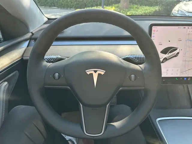 Tesla Model Y — Фото автомобиля 17