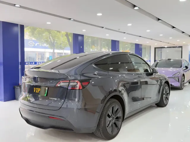 Tesla Model Y — Фото автомобиля 7