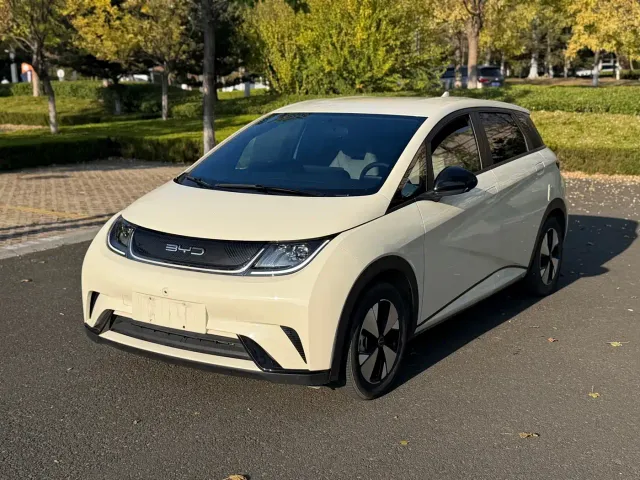 Фотография автомобиля — BYD Dolphin