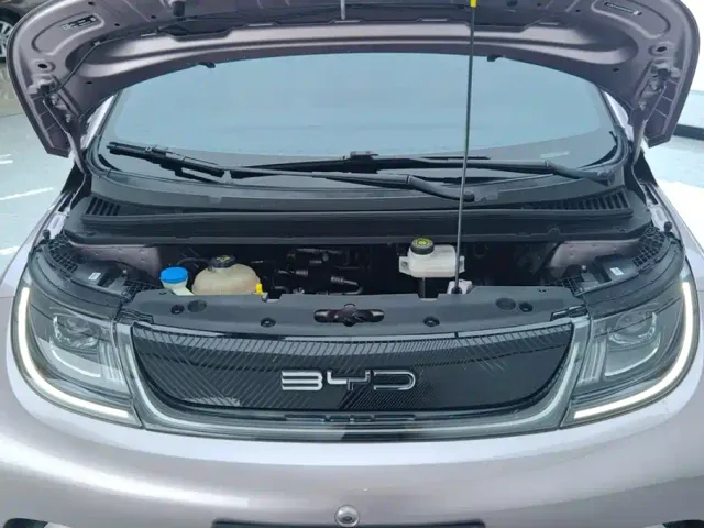 BYD Dolphin — Фото автомобиля 10