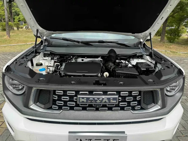 Haval Big Dog — Фото автомобиля 18