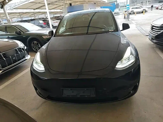 Tesla Model Y — Фото автомобиля 2