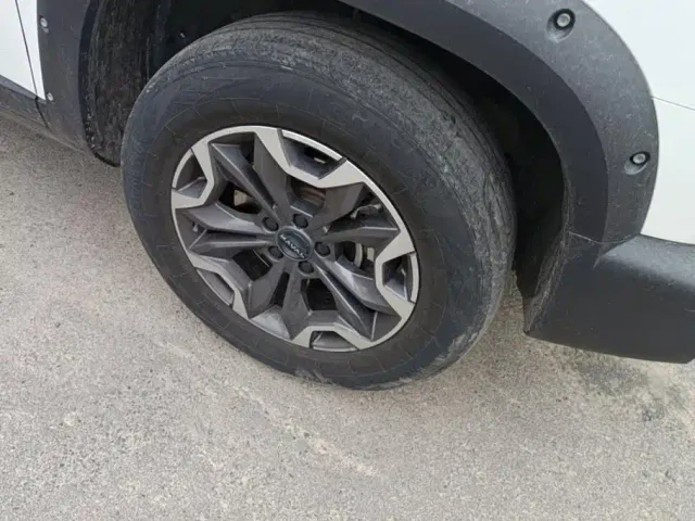 Haval Big Dog — Фото автомобиля 6