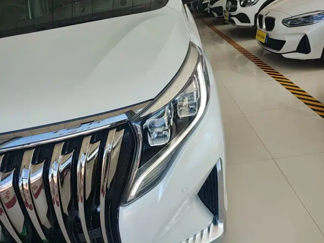 GAC Trumpchi M8 — Фото автомобиля 23