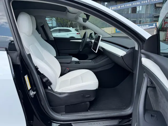 Tesla Model Y — Фото автомобиля 9