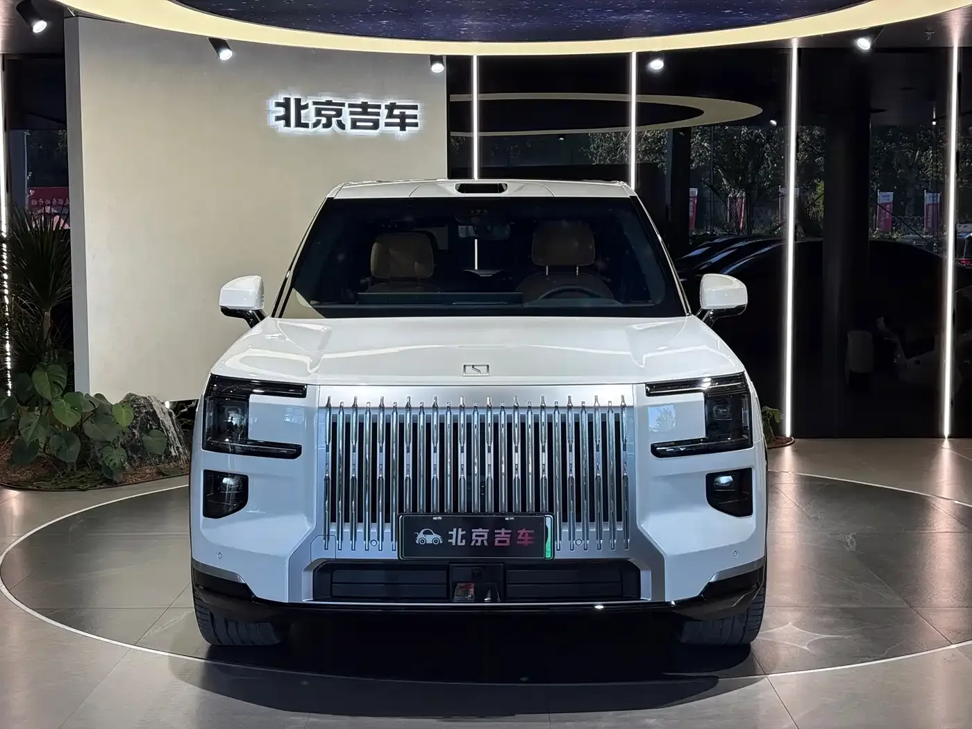 ZEEKR Zeekr 9X 2025 Model Standard — Фото автомобиля 2