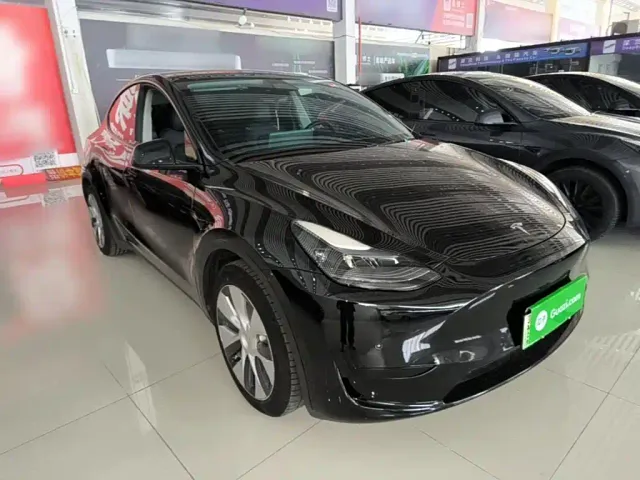 Tesla Model Y — Фото автомобиля 3