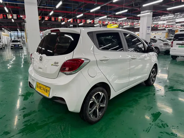 Changan Benben E-Star — Фото автомобиля 9