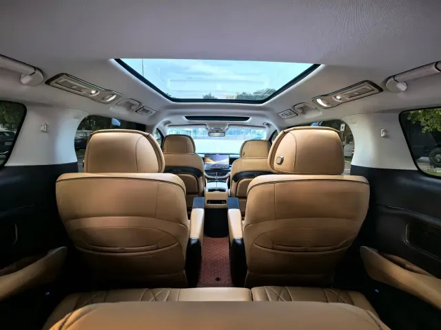 Denza Denza D9 2024 DM-i 980 AWD Prestige — Фото автомобиля 19