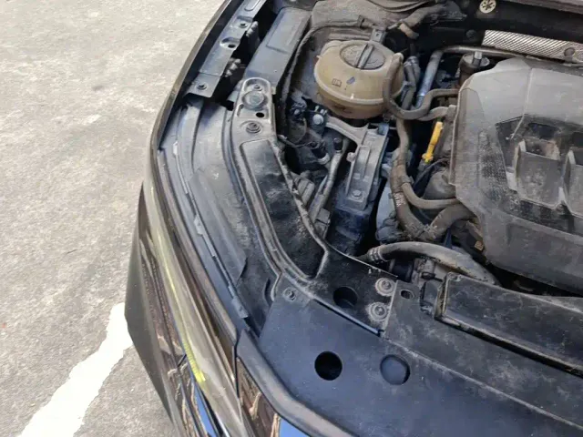 Volkswagen Passat — Фото автомобиля 20