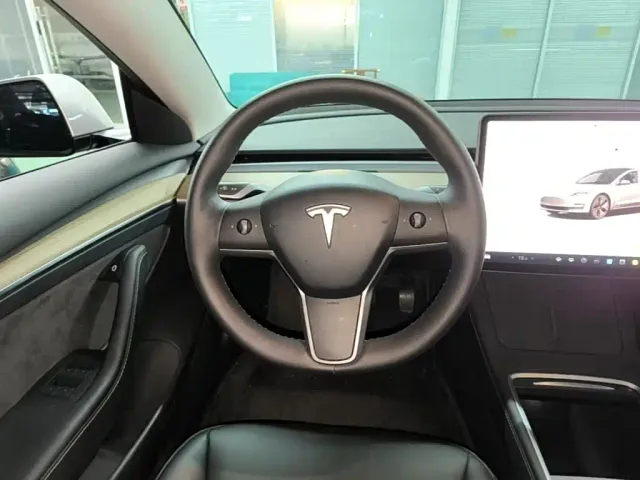 Tesla Model 3 — Фото автомобиля 10