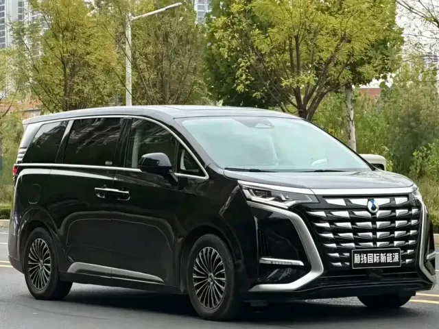 Denza D9 — Фото автомобиля 3