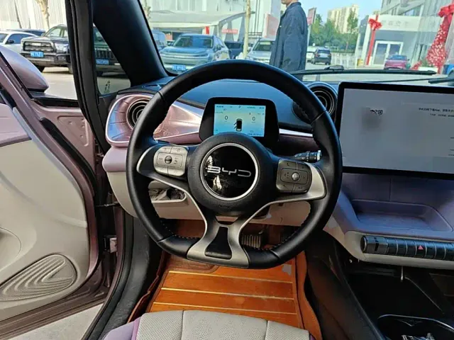 BYD Dolphin — Фото автомобиля 10