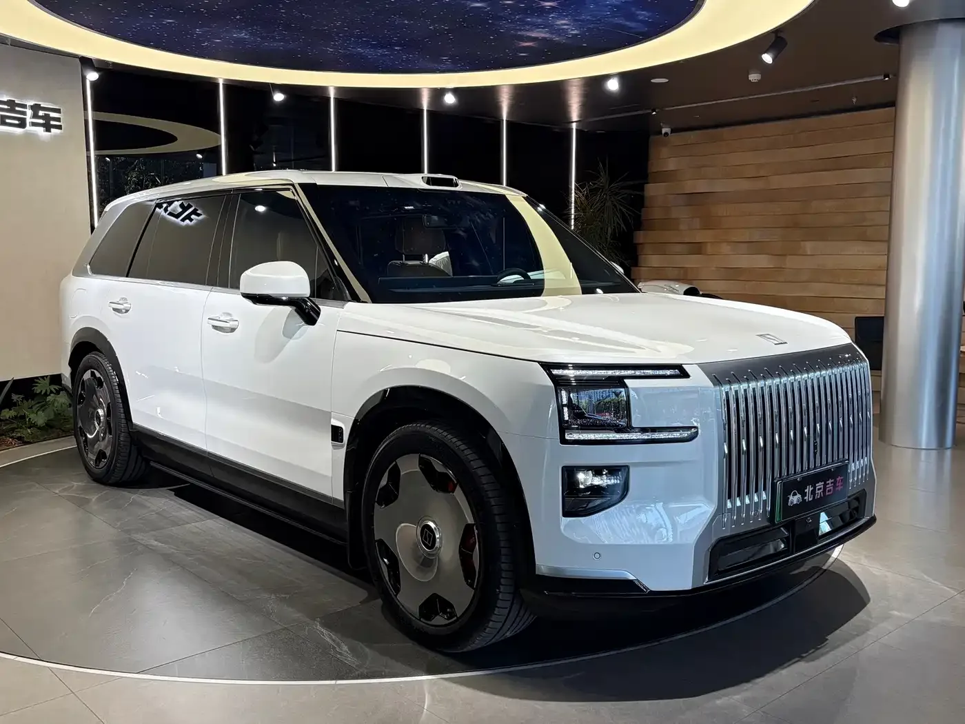 ZEEKR Zeekr 9X 2025 Model Standard — Фото автомобиля 3