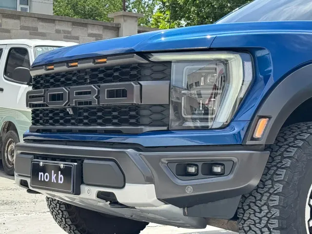 Ford F-150 Raptor — Фото автомобиля 2