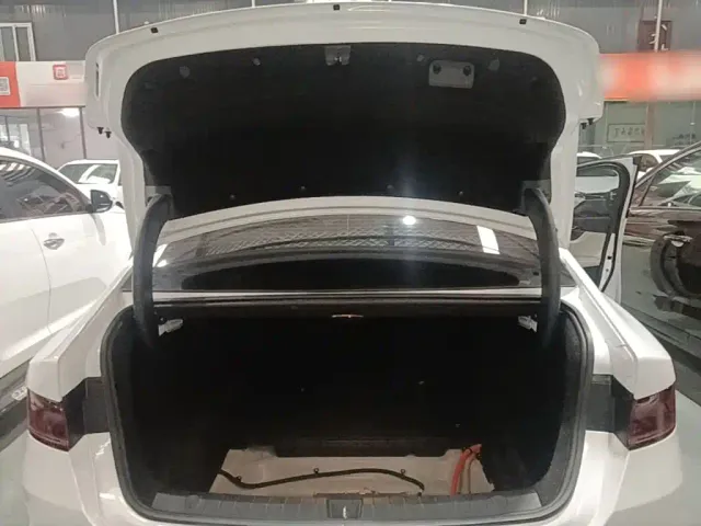BYD Qin PLUS 2023 Champion Edition DM-i 55KM Leading — Фото автомобиля 18
