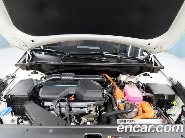 Kia Sportage — Фото автомобиля 19