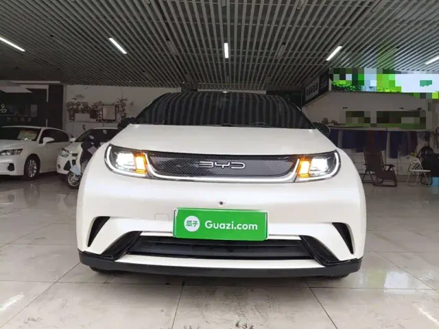 BYD Dolphin — Фото автомобиля 2