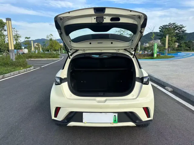 BYD Dolphin — Фото автомобиля 17