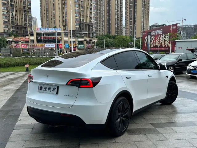 Tesla Model Y — Фото автомобиля 8