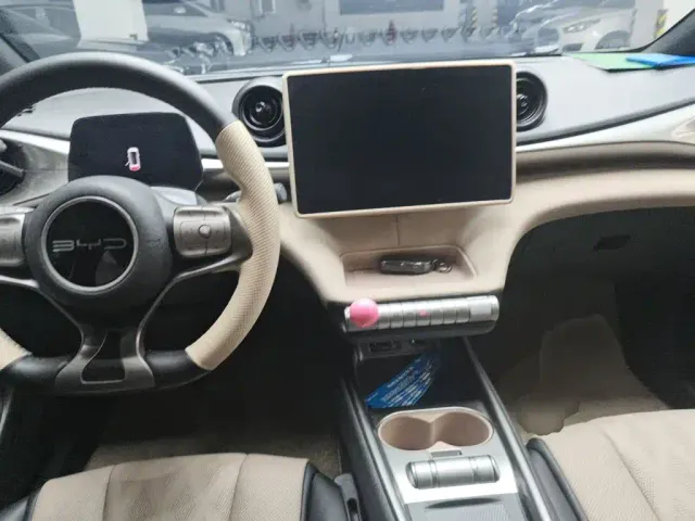 BYD Dolphin — Фото автомобиля 10