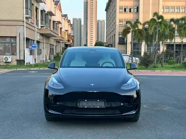 Tesla Model Y — Фото автомобиля 2