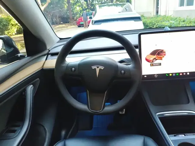 Tesla Model Y — Фото автомобиля 10