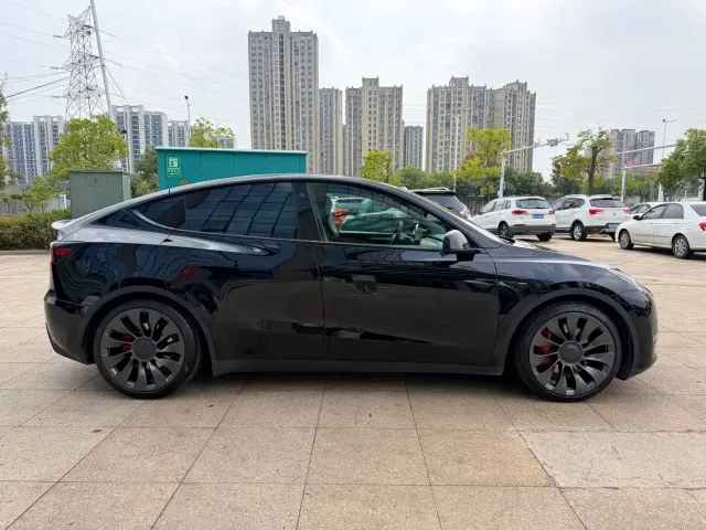 Tesla Model Y — Фото автомобиля 17