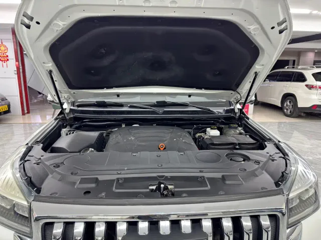 Haval H9 — Фото автомобиля 15