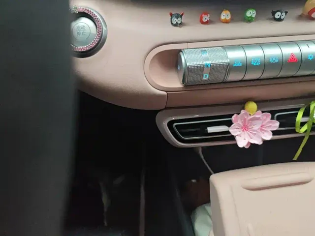 BYD Seagull — Фото автомобиля 10
