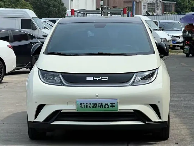 BYD Dolphin — Фото автомобиля 2