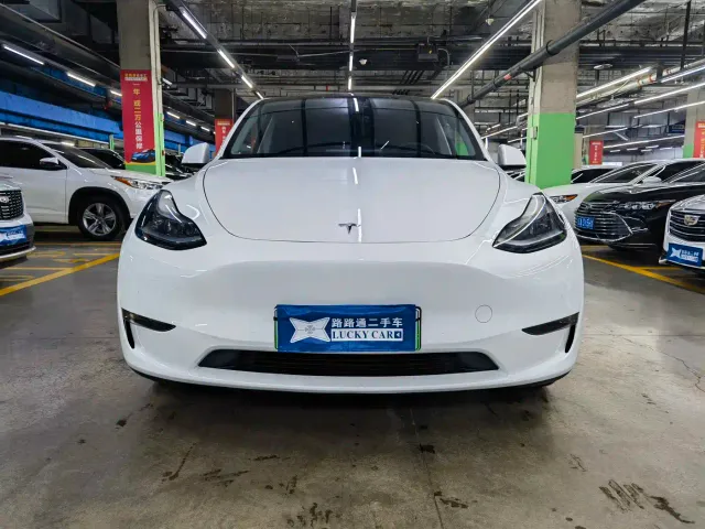 Tesla Model Y — Фото автомобиля 2