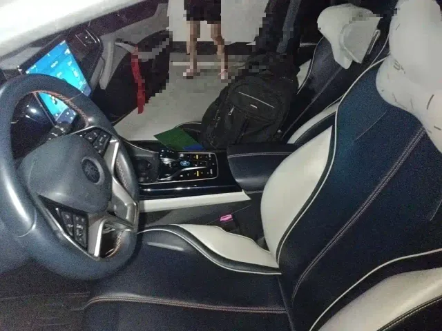 BYD Qin PLUS — Фото автомобиля 11