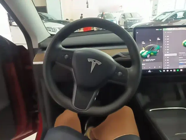 Tesla Model Y — Фото автомобиля 10