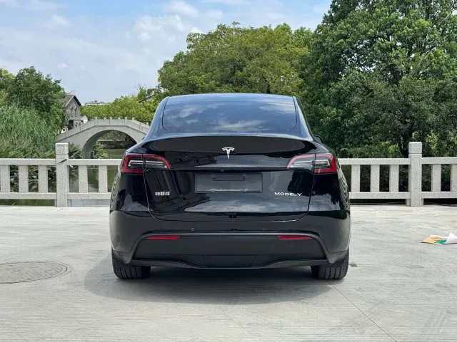 Tesla Model Y — Фото автомобиля 12