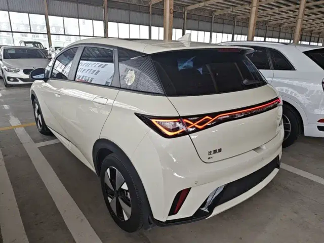BYD Dolphin — Фото автомобиля 4