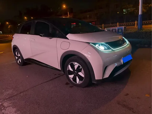BYD Dolphin — Фото автомобиля 3