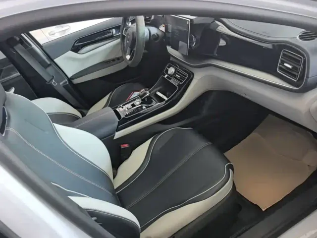 BYD Qin PLUS — Фото автомобиля 24