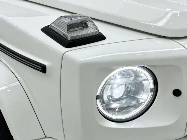 Mercedes-Benz G-Class — Фото автомобиля 28