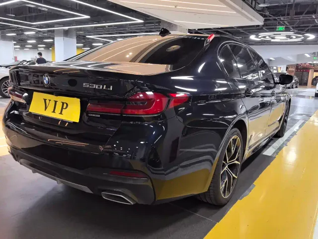 BMW 5 Series — Фото автомобиля 20