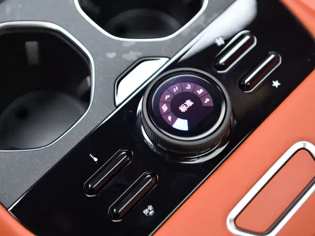 Ford Mustang NEV — Фото автомобиля 20