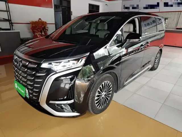 Фотография автомобиля — Denza D9