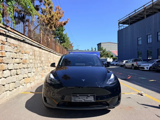 Tesla Model Y — Фото автомобиля 2
