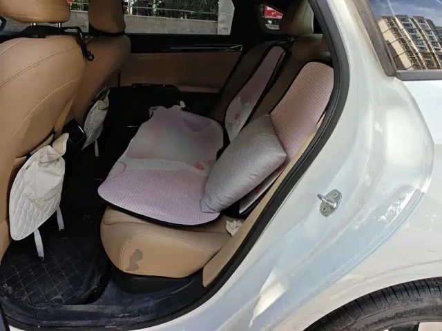 Geely Galaxy L6 — Фото автомобиля 18